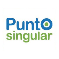 Punto Singular Marketing