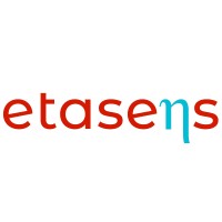 Etasens Technologies logo - Similar company to Perfectkode Software Technologies