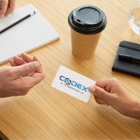 Codex Information Technology Solution logo - Similar company to Codex Information Technology