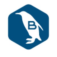 B&B IT logo - Similar company to Ssys Sistemas