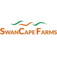 SwanCape Limited logo - Similar company to Vilaesthetic