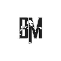 Bryan Martin Foundation logo - Similar company to Vc Solutions