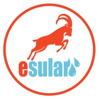 esular logo - Similar company to Rierino