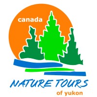 Nature Tours Of Yukon Inc.