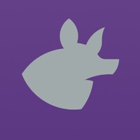 Banded Armadillo Rock Club™ logo - Similar company to Picpocket-Labs, Inc.