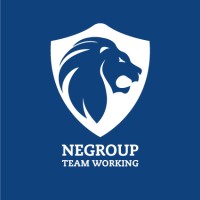 Negroup logo - Similar company to Ne Group