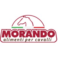 MORANDO Alimenti per Cavalli logo - Similar company to Creda 360 - Sistemi Di Accesso In Quota E Sicurezza