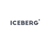 Iceberg Plus logo - Similar company to Our Normal - Designing Inclusion Together