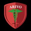 Arivo Fze LLC logo - Similar company to Silver Lining By Pd