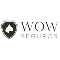 WOW Seguros logo - Similar company to Wowbi
