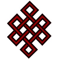 AMERICAN AGING ASSOCIATION logo - Similar company to The Dog Aging Project