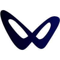 WAN-AI logo - Similar company to Wan Solutions