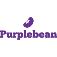 Purplebean | Creative Webdesign