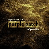 Purple Patch Events logo - Similar company to Purple Patch