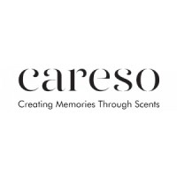 CARESO logo - Similar company to From This Island