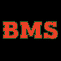 Business Machine Soft Inc. logo - Similar company to Lamah Intelligent Solutions