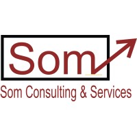 Som Consulting & Services logo - Similar company to Exoteacity