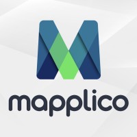 Mapplico logo - Similar company to Technolera
