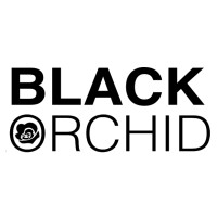Black Orchid logo - Similar company to Black Orchid
