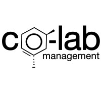 Co-Lab Management logo - Similar company to Iqmax