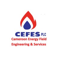 CEFES PLC logo - Similar company to Gracify Technologies