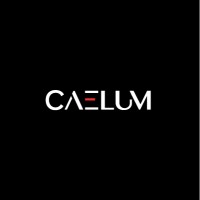 Caelum Group GmbH logo - Similar company to G2K Group