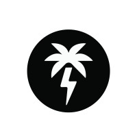 Palmetto Spark logo - Similar company to Picomart