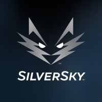 SilverSky logo - Similar company to Silversky Technology