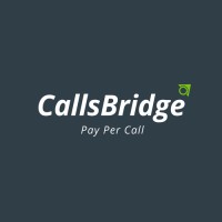CallsBridge logo - Similar company to Digi Infotech