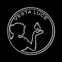 VESTA LUCE logo - Similar company to Be One Studio