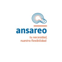 ANSAREO GRUPO logo - Similar company to Servical Euskadi
