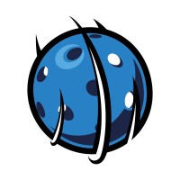 Topspin Pickleball NZ logo - Similar company to Pickleball Park - Nz