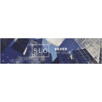 Silver Law Group, P.C. logo - Similar company to Silver Law Group