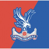 Crystal Palace Football Club logo - Similar company to Goals 4 Girls