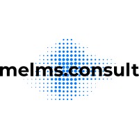 melms.consult logo - Similar company to Wilde & Partner Mbb