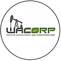 Wireline Abandonment and Completion Corp. logo - Similar company to Processa Inc.