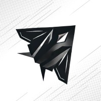 Stealth Meetup logo - Similar company to Sai Overseas