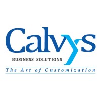 Calvys Business Solutions logo - Similar company to Marin Infotech