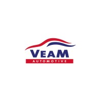 VEAM BV logo - Similar company to Dicar B.V.