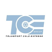 T.C.E. S.r.l. logo - Similar company to Dejar Information Technology