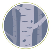 Birch Tree Psychotherapy logo - Similar company to Through Therapy, Pllc
