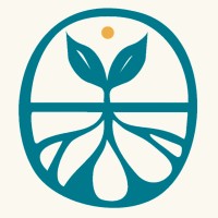 Transition Network International logo - Similar company to Native Land Digital