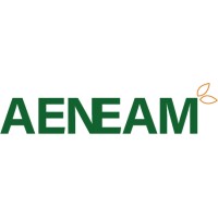 AENEAM logo - Similar company to Audit Plus Project
