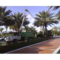 Community Tree & Landscape Service, Inc. logo - Similar company to Tree Service West Palm Beach