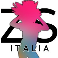 Z-SHOP ITA logo - Similar company to Fintex Srl