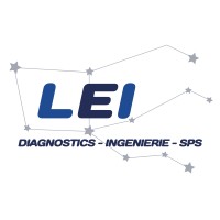 LEI logo - Similar company to Sunny Influence