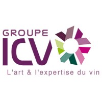 Groupe ICV logo - Similar company to Techinsider