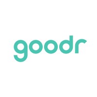 goodr logo - Similar company to Tfr Solutions