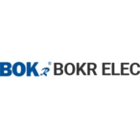 Bokong Electric Co., Ltd. logo - Similar company to Condy Flooring