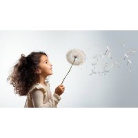 Through The Looking Glass LLC logo - Similar company to Blue Sky Ecard